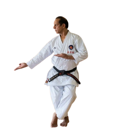 Kumite Stance